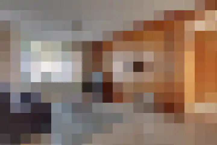 Morgenzonweg 47 Winterswijk thumbnail 8