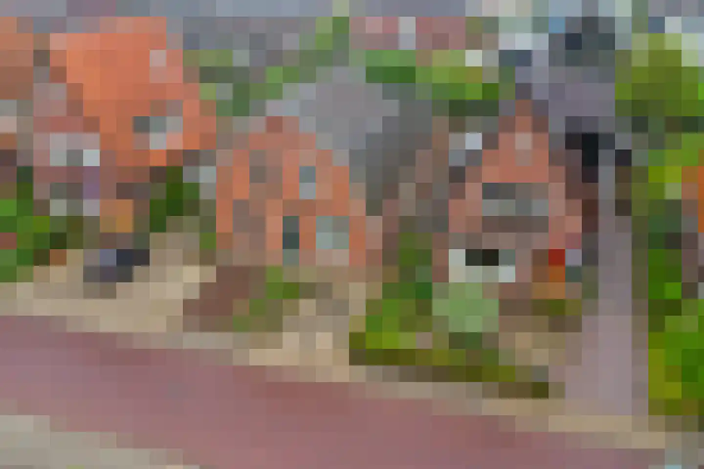 Morgenzonweg 61 Winterswijk thumbnail 41
