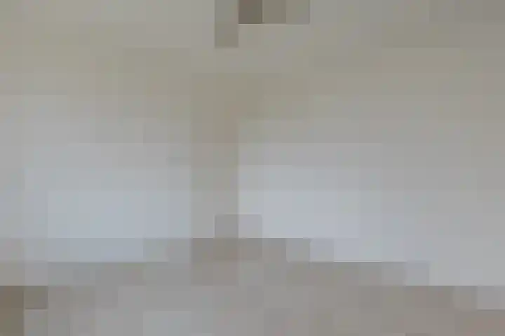 Moriaansdreef 104 Putte thumbnail 24