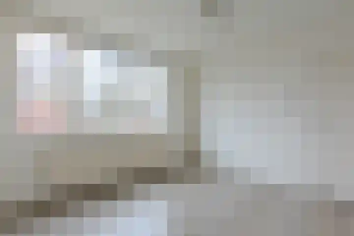 Moriaansdreef 104 Putte thumbnail 25