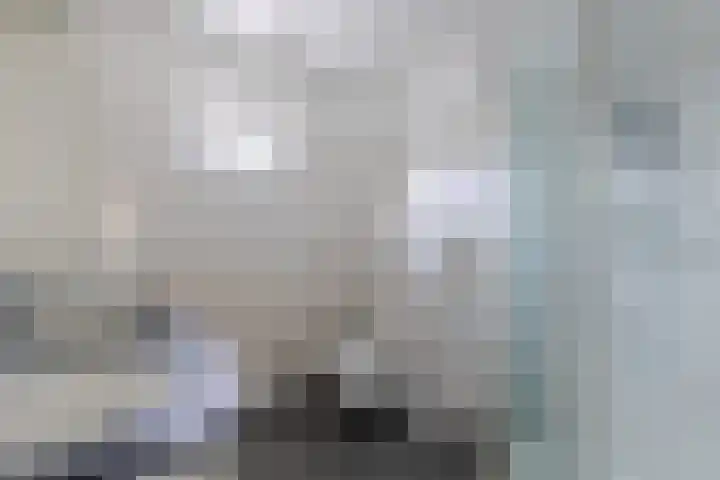 Moriaansdreef 104 Putte thumbnail 27