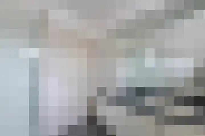 Moriaansdreef 104 Putte thumbnail 28
