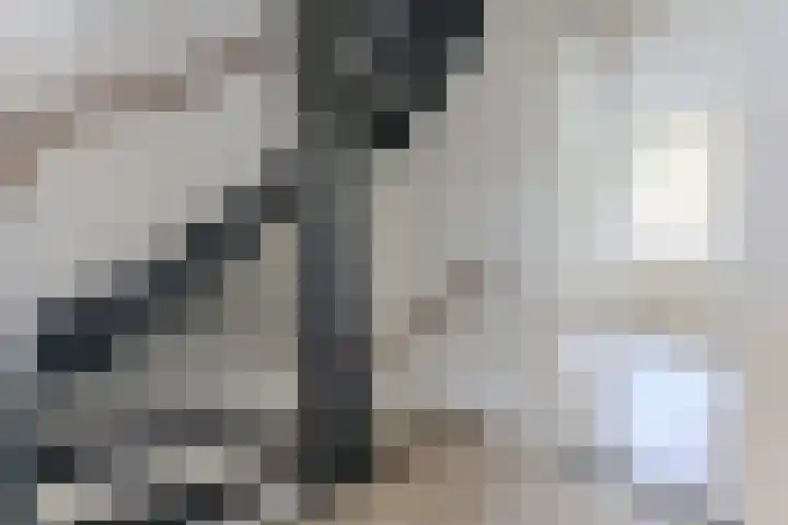 Moriaansdreef 104 Putte thumbnail 29