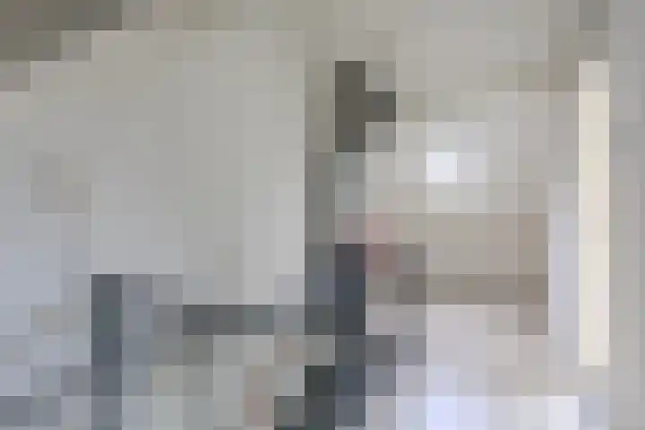 Moriaansdreef 104 Putte thumbnail 31