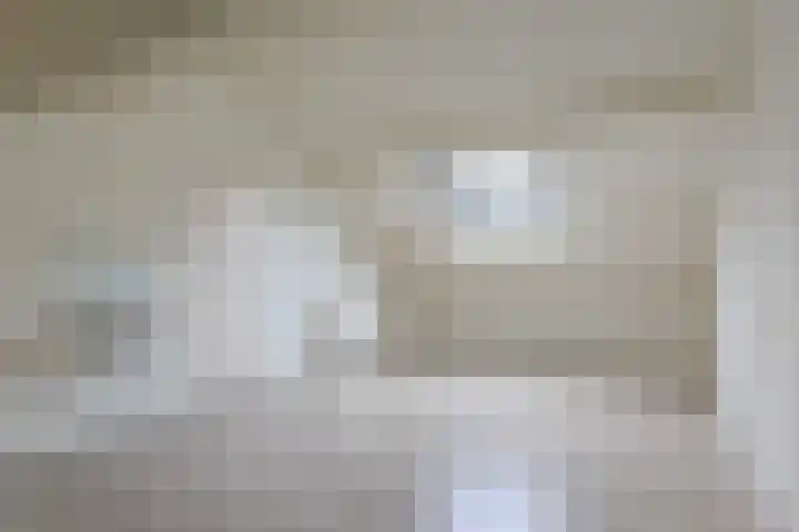 Moriaansdreef 104 Putte thumbnail 33