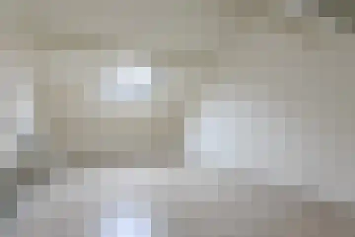 Moriaansdreef 104 Putte thumbnail 34