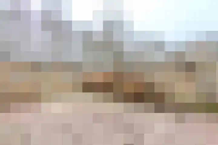 Moriaansdreef 104 Putte thumbnail 36