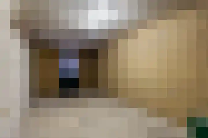 Moriaansdreef 104 Putte thumbnail 42