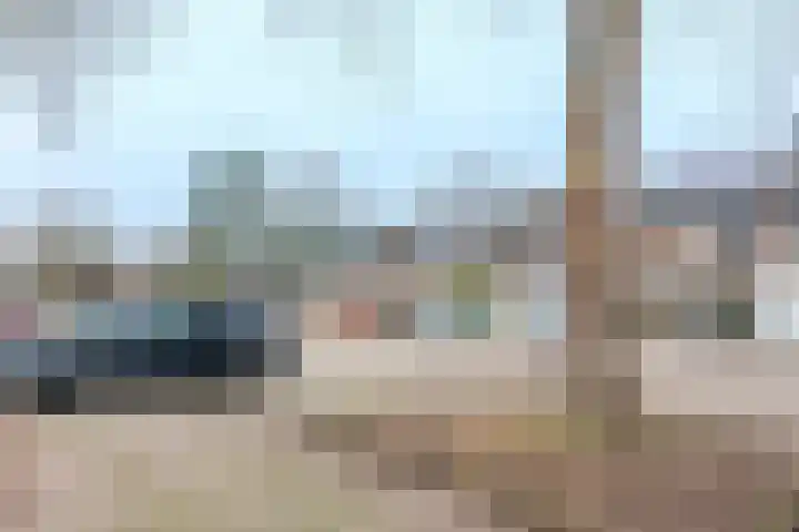 Moriaansdreef 104 Putte thumbnail 47