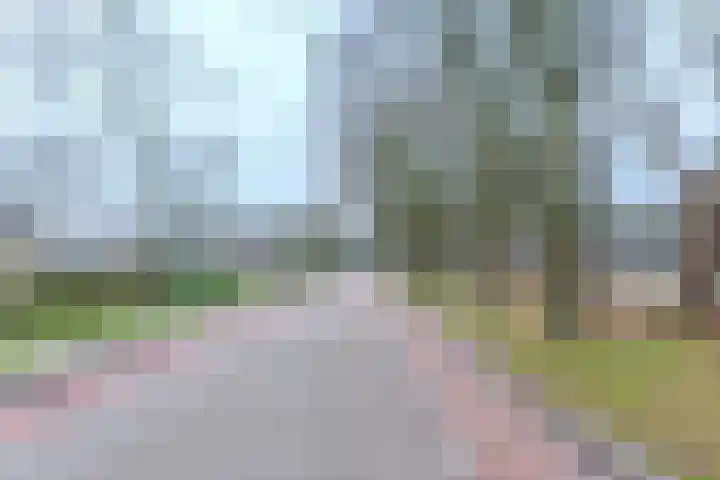 Moriaansdreef 104 Putte thumbnail 48