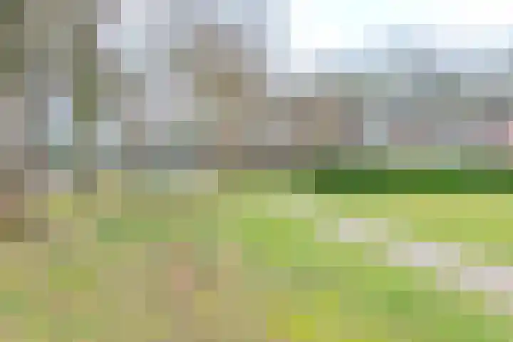 Moriaansdreef 104 Putte thumbnail 50