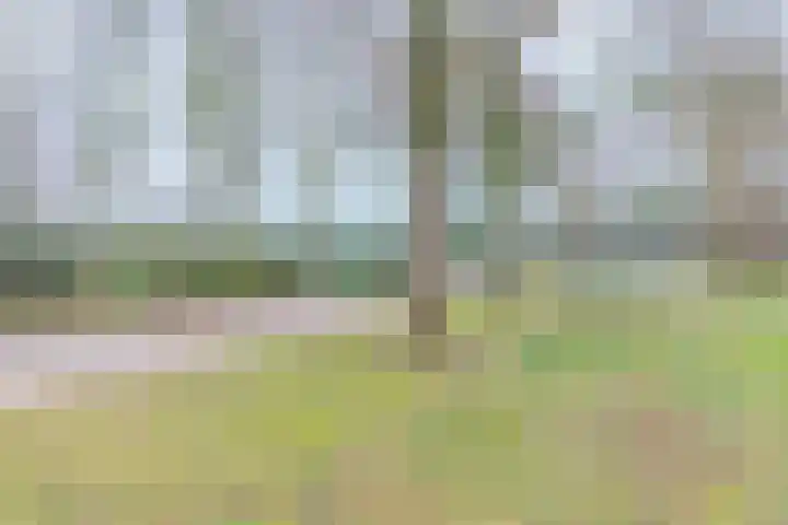 Moriaansdreef 104 Putte thumbnail 51