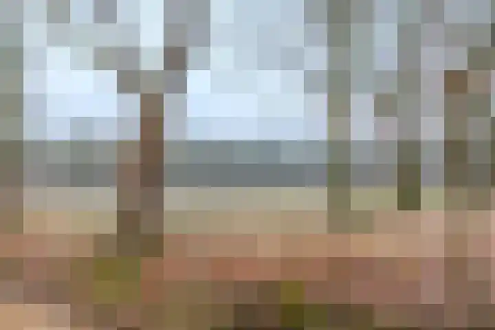 Moriaansdreef 104 Putte thumbnail 52