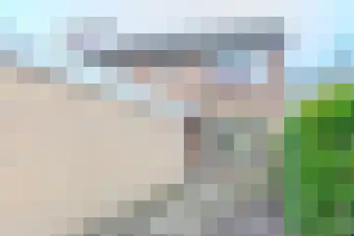 Moriaansdreef 104 Putte thumbnail 6