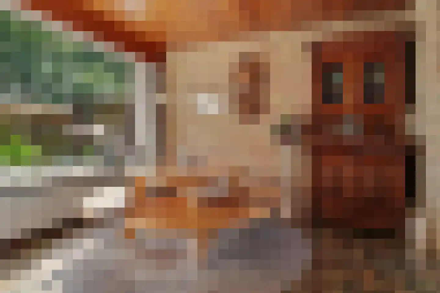 Moriaansdreef 112 Putte thumbnail 10