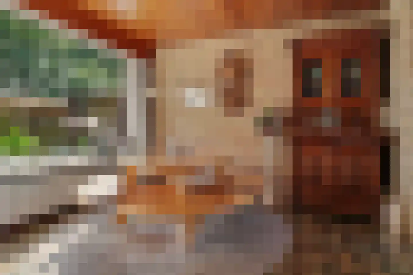 Moriaansdreef 112 Putte thumbnail 10