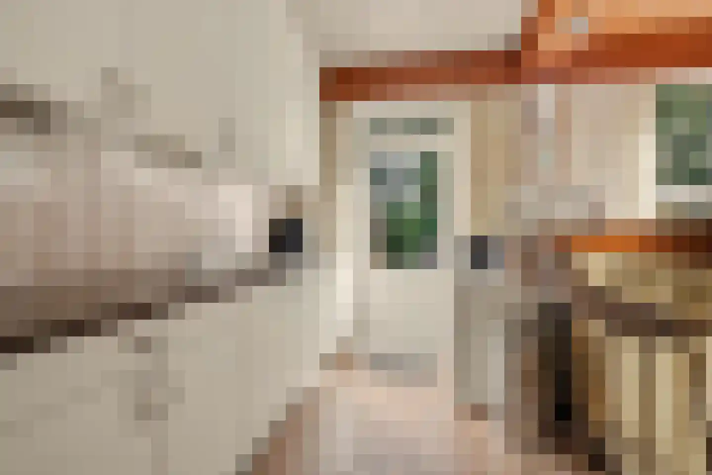 Moriaansdreef 112 Putte thumbnail 12