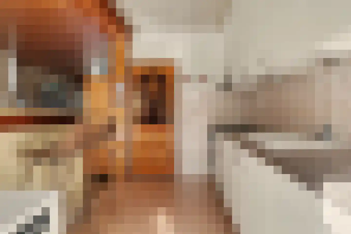Moriaansdreef 112 Putte thumbnail 14