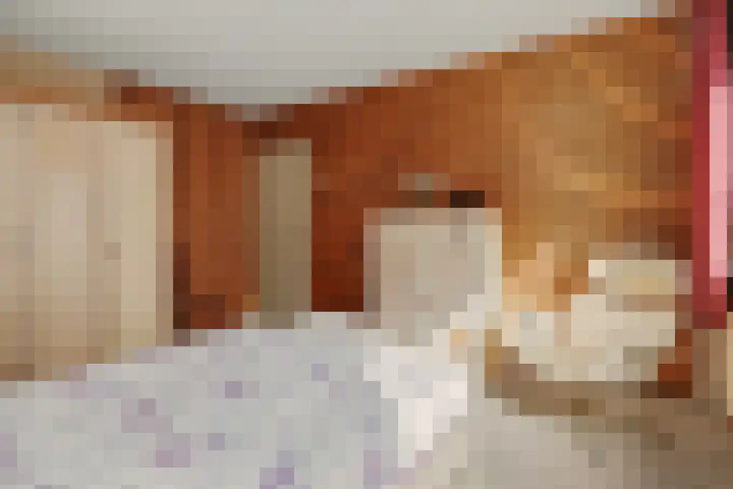 Moriaansdreef 112 Putte thumbnail 16