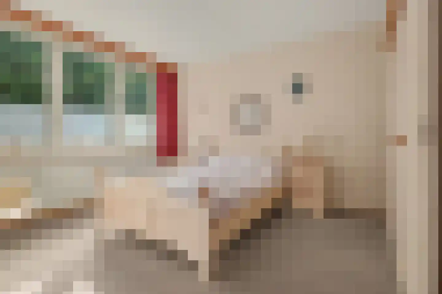 Moriaansdreef 112 Putte thumbnail 19