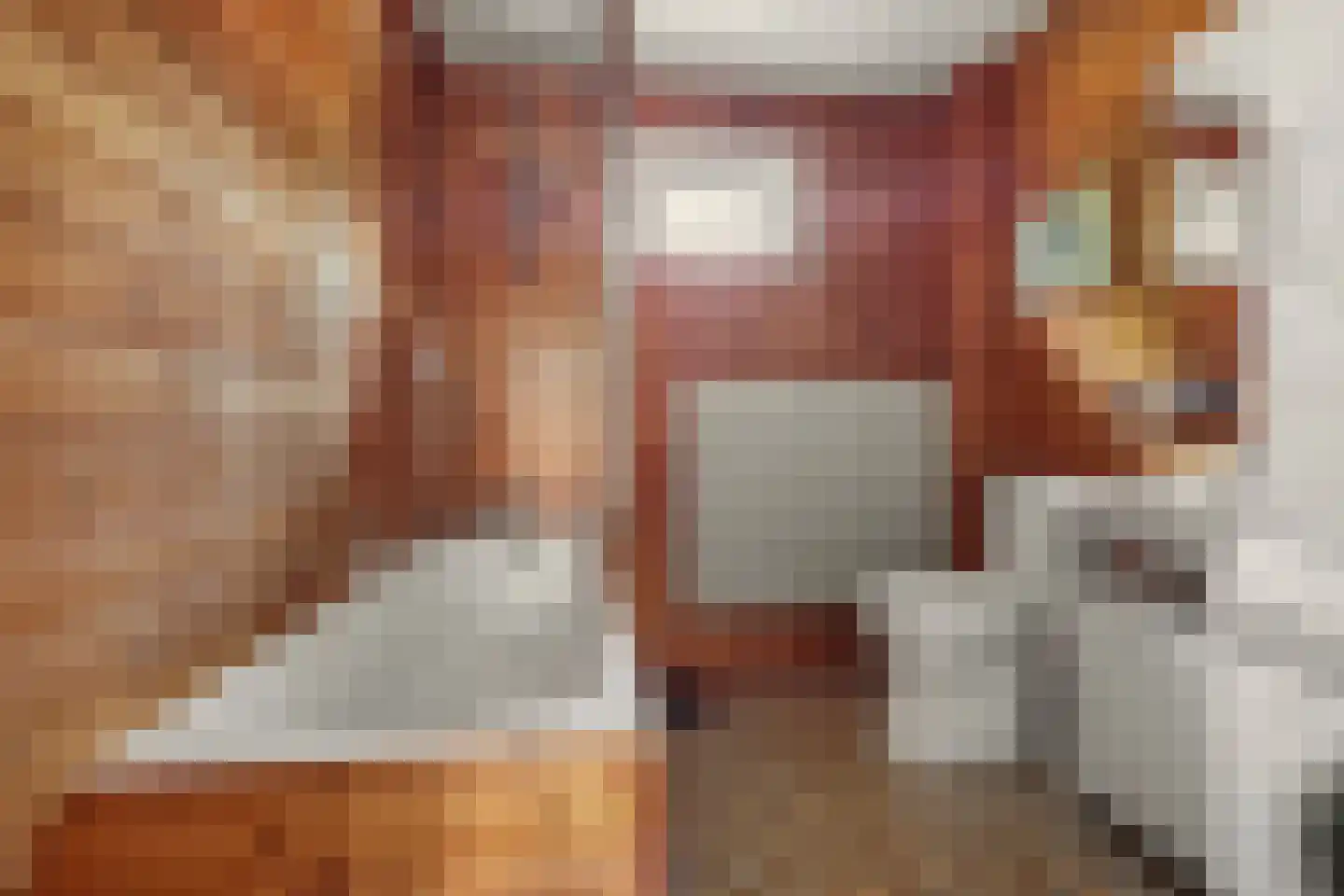 Moriaansdreef 112 Putte thumbnail 22