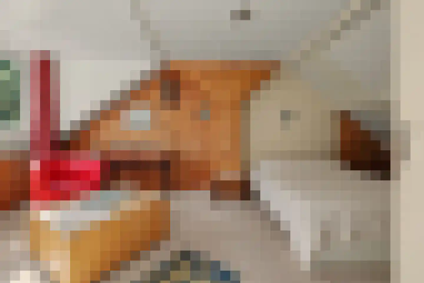 Moriaansdreef 112 Putte thumbnail 26