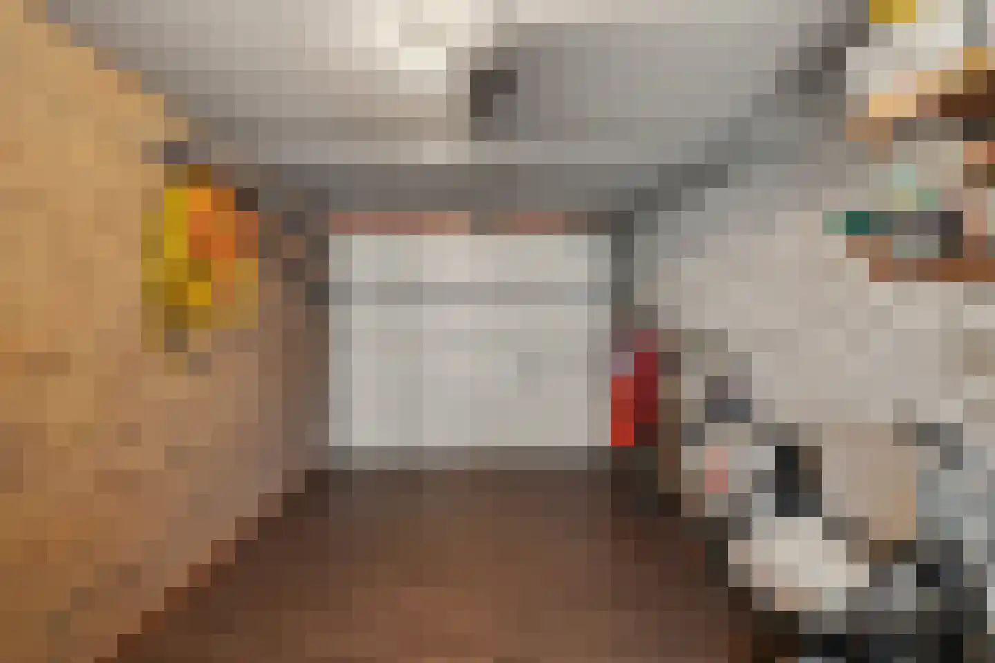 Moriaansdreef 112 Putte thumbnail 28