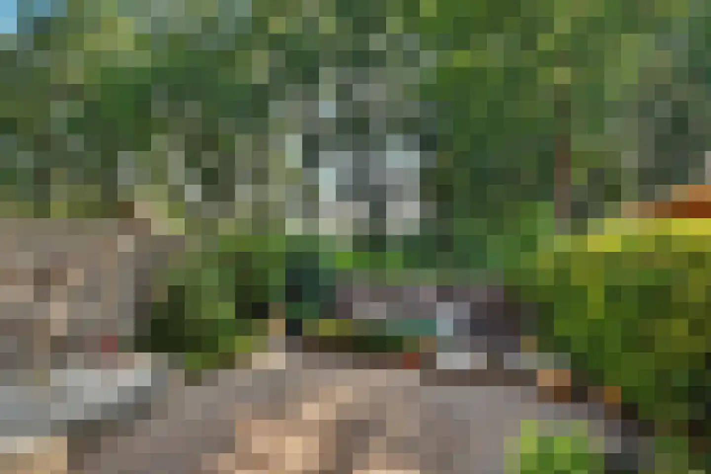 Moriaansdreef 112 Putte thumbnail 30