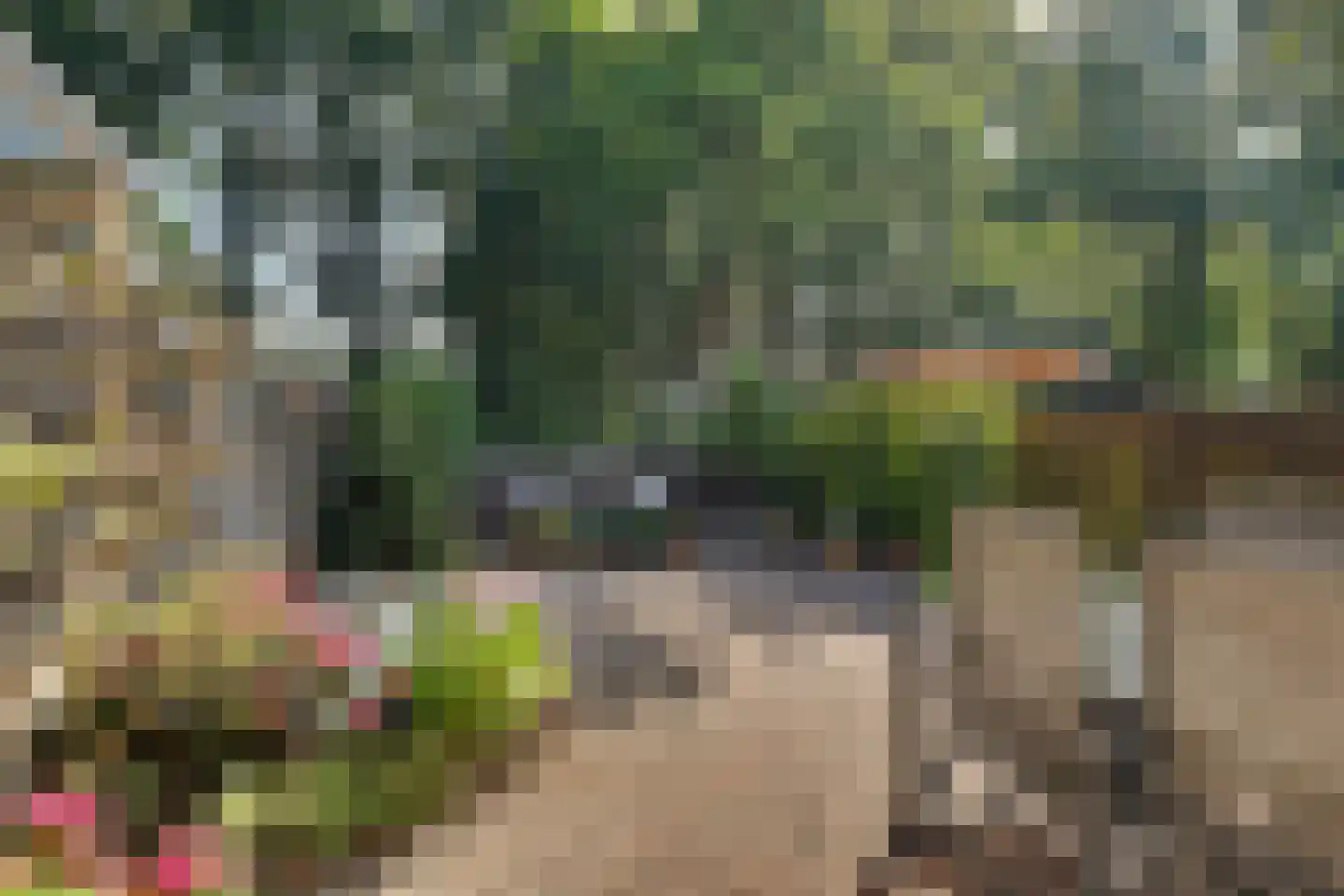 Moriaansdreef 112 Putte thumbnail 31
