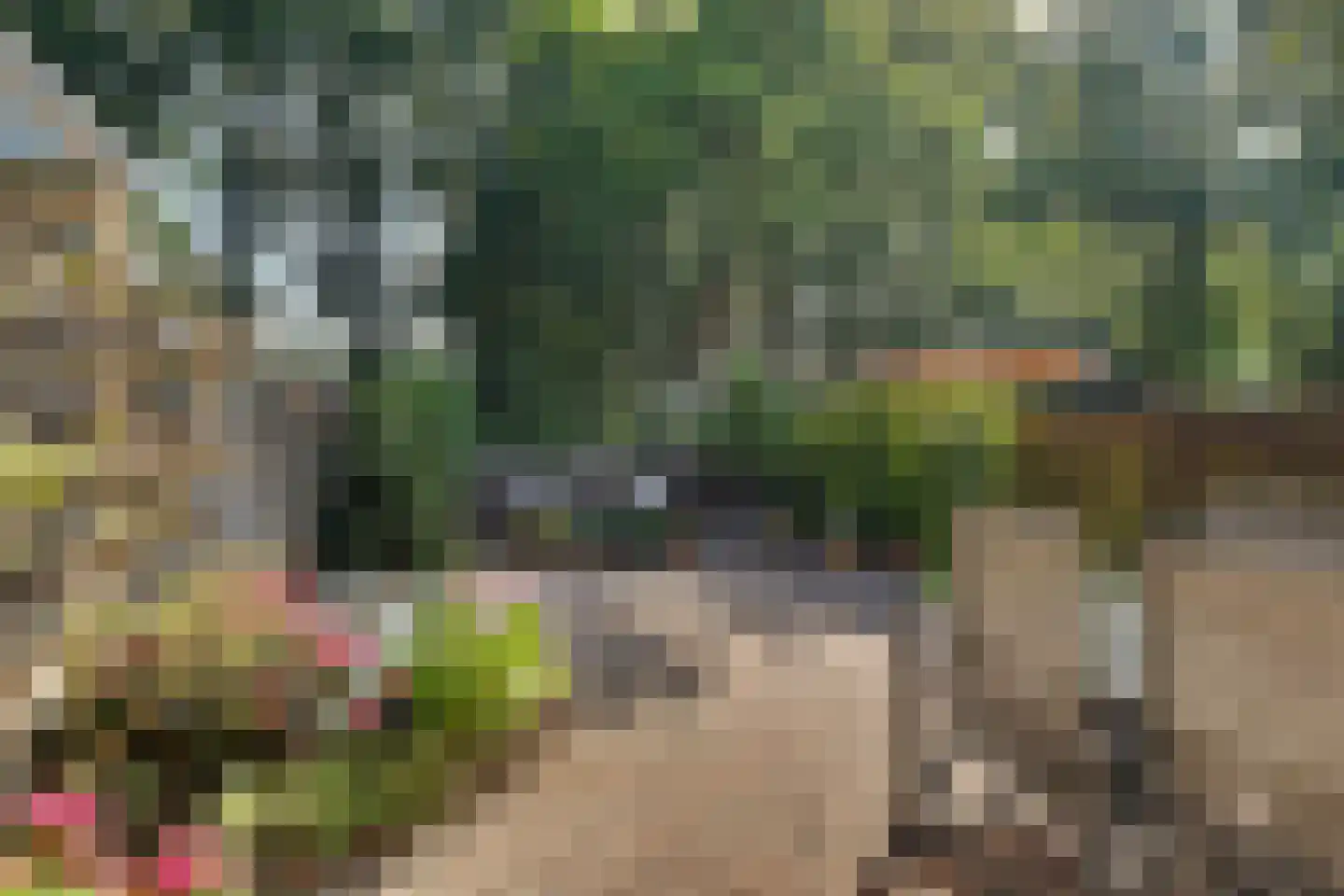 Moriaansdreef 112 Putte thumbnail 31