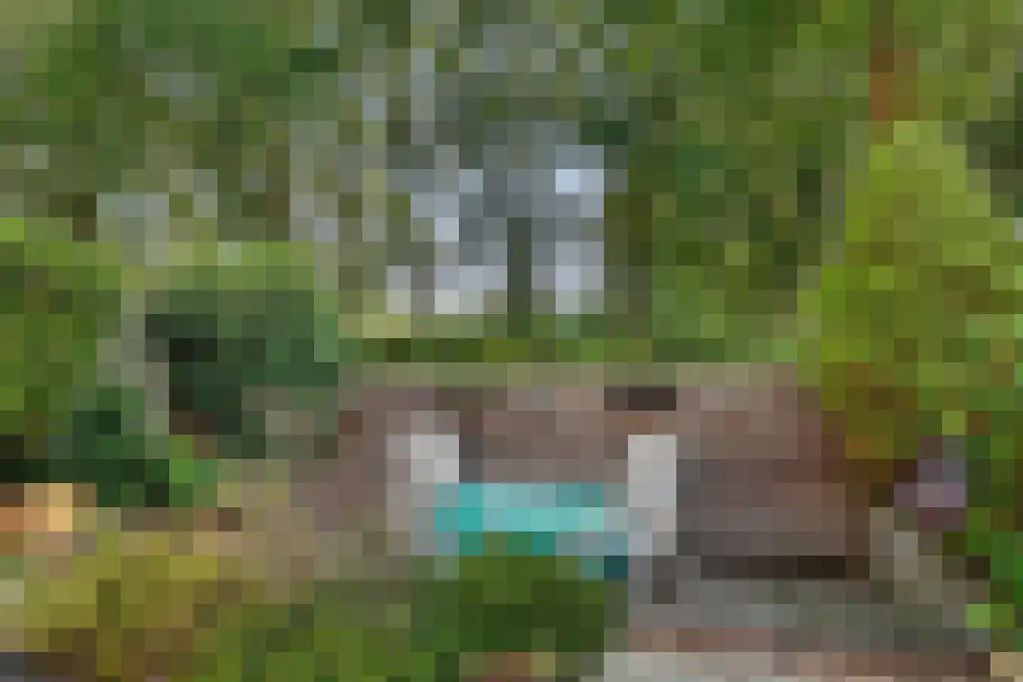 Moriaansdreef 112 Putte thumbnail 33