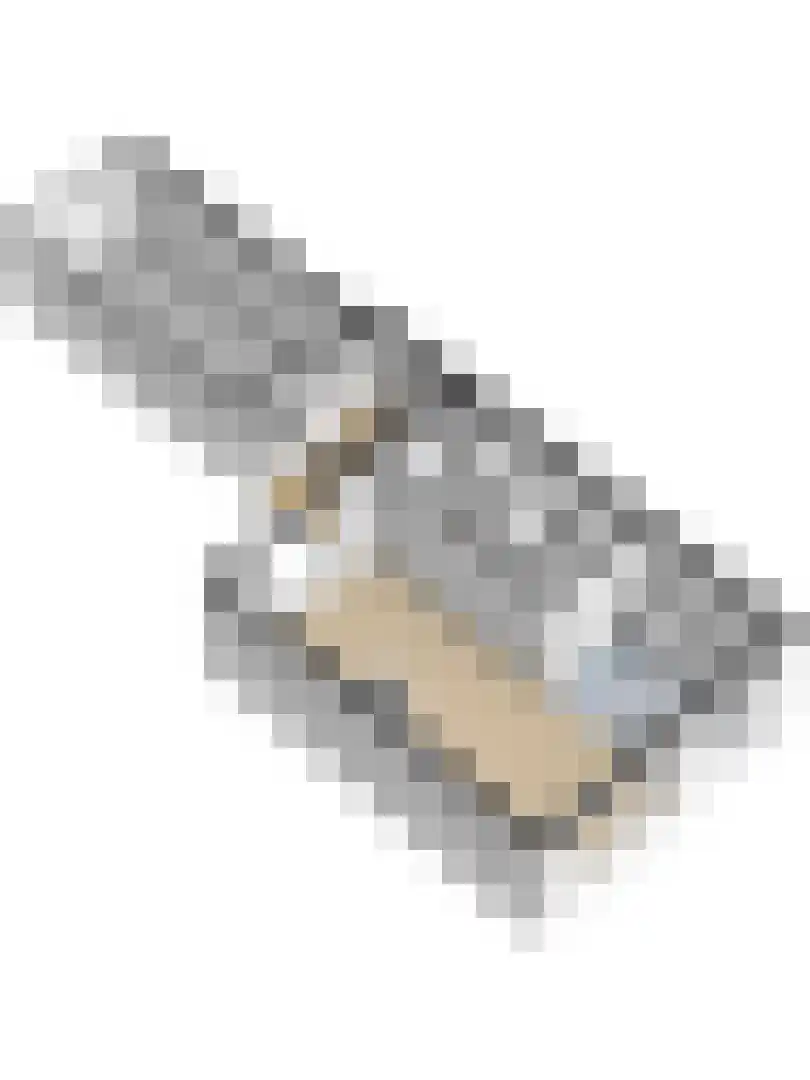 Moriaansdreef 112 Putte thumbnail 43