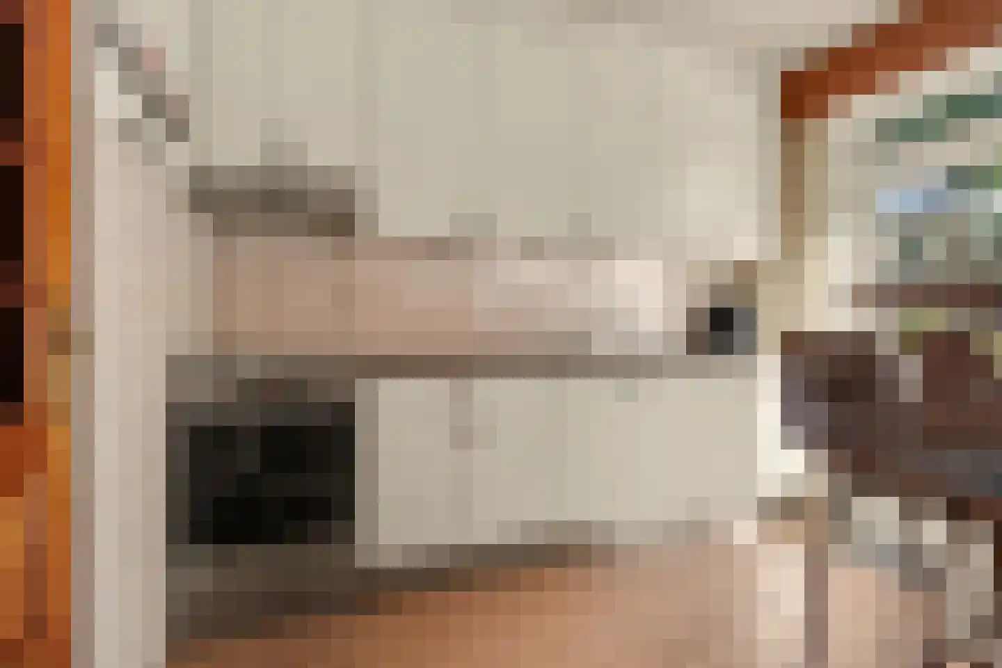 Moriaansdreef 112 Putte thumbnail 5