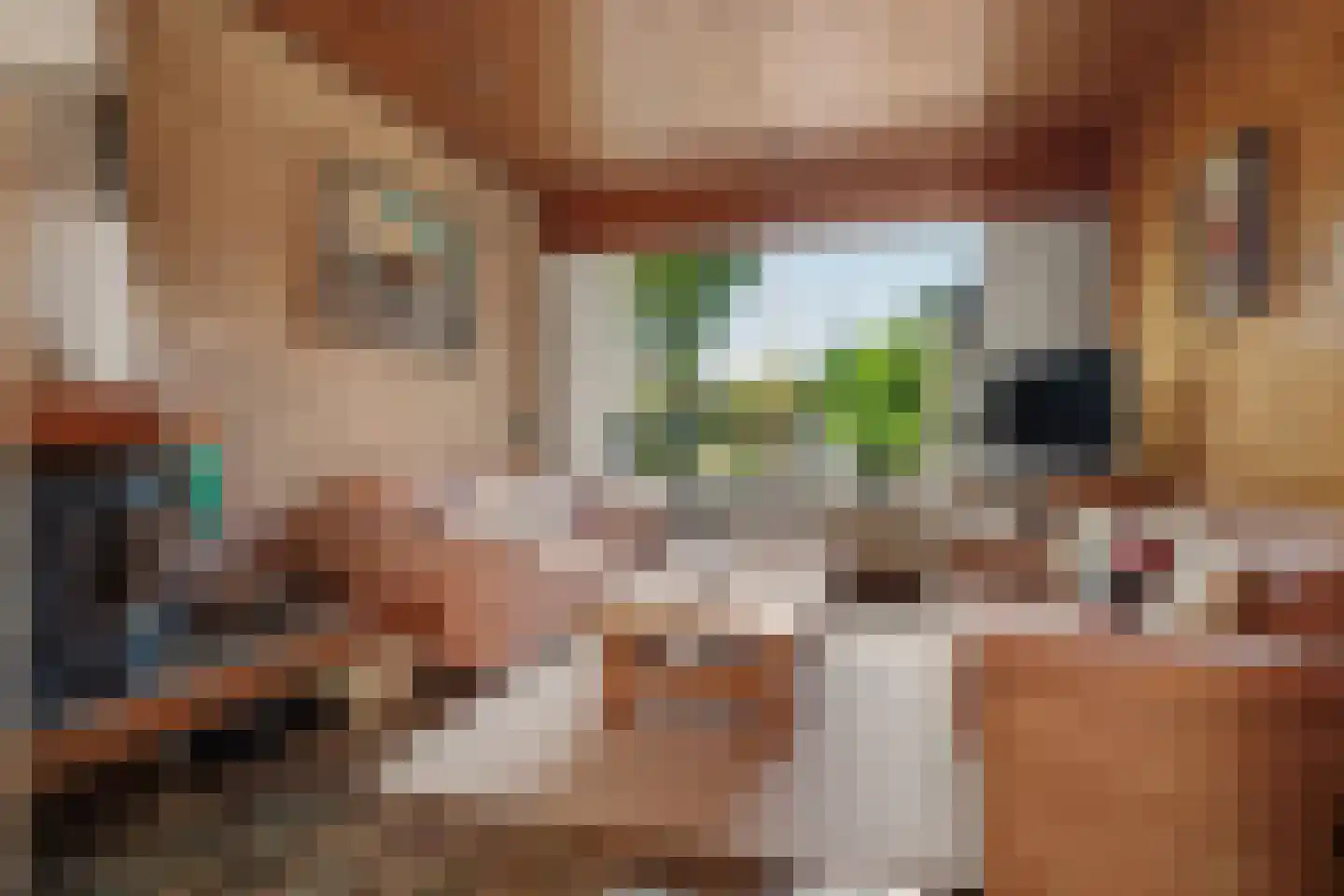Moriaansdreef 112 Putte thumbnail 6