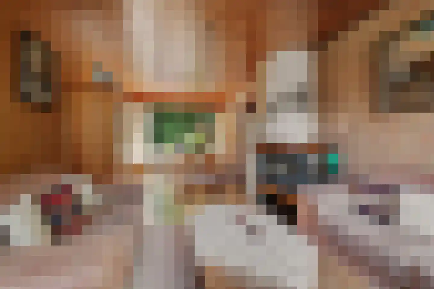 Moriaansdreef 112 Putte thumbnail 7