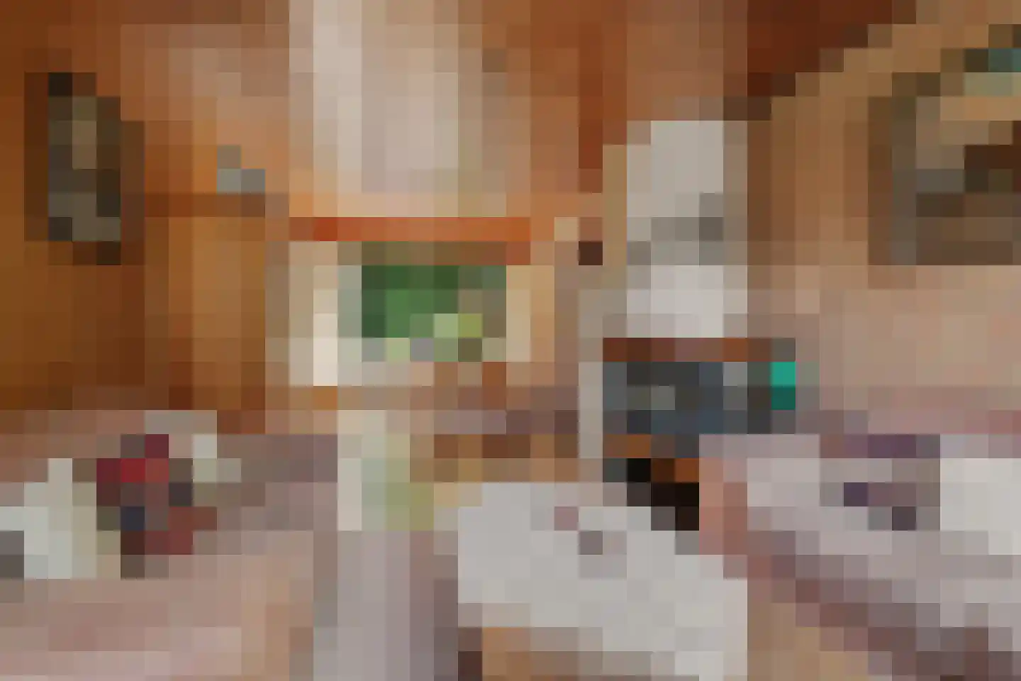 Moriaansdreef 112 Putte thumbnail 7
