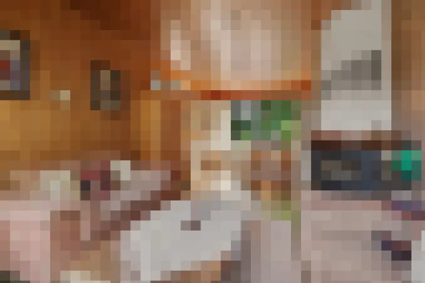 Moriaansdreef 112 Putte thumbnail 8
