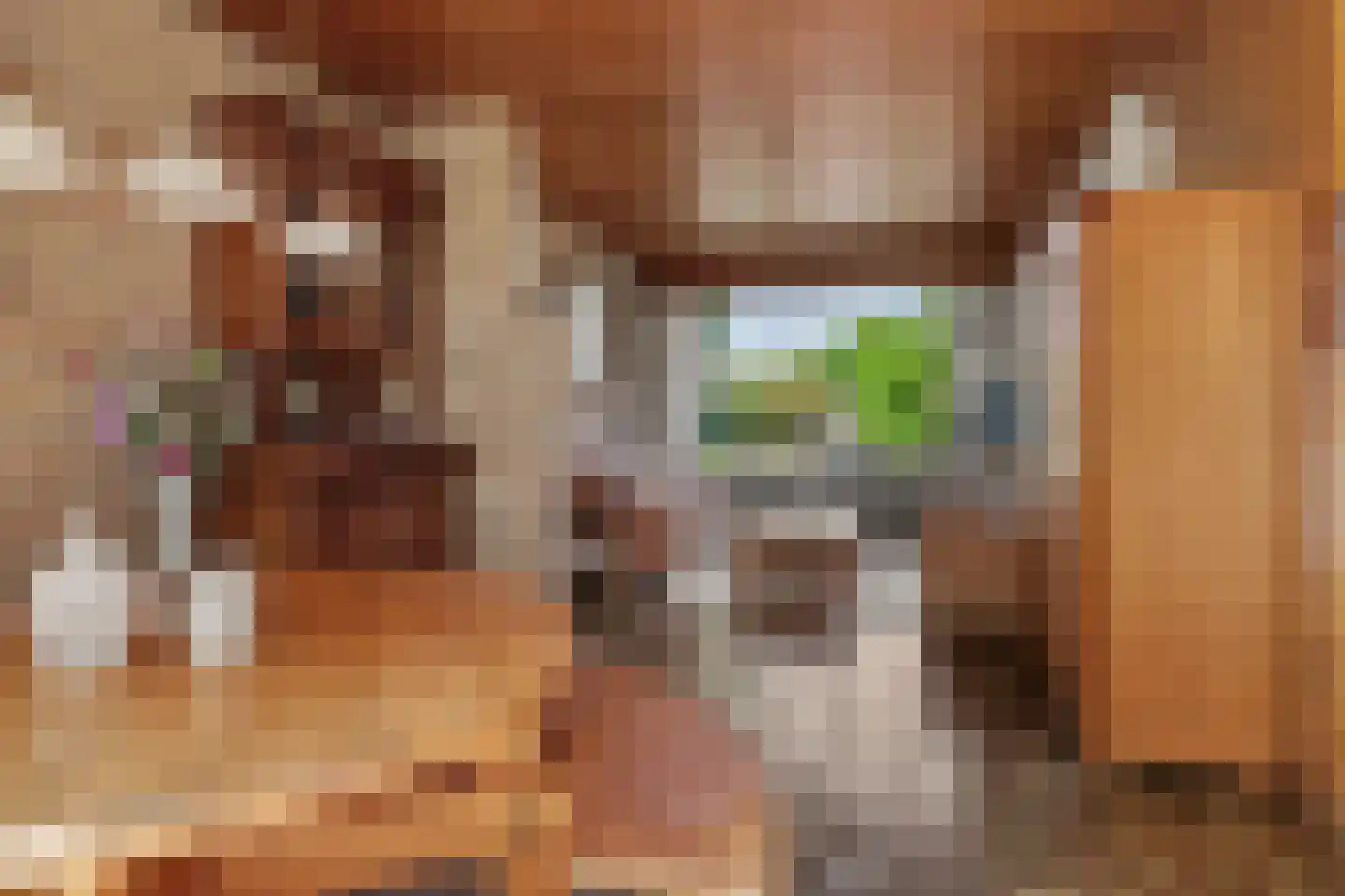Moriaansdreef 112 Putte thumbnail 9