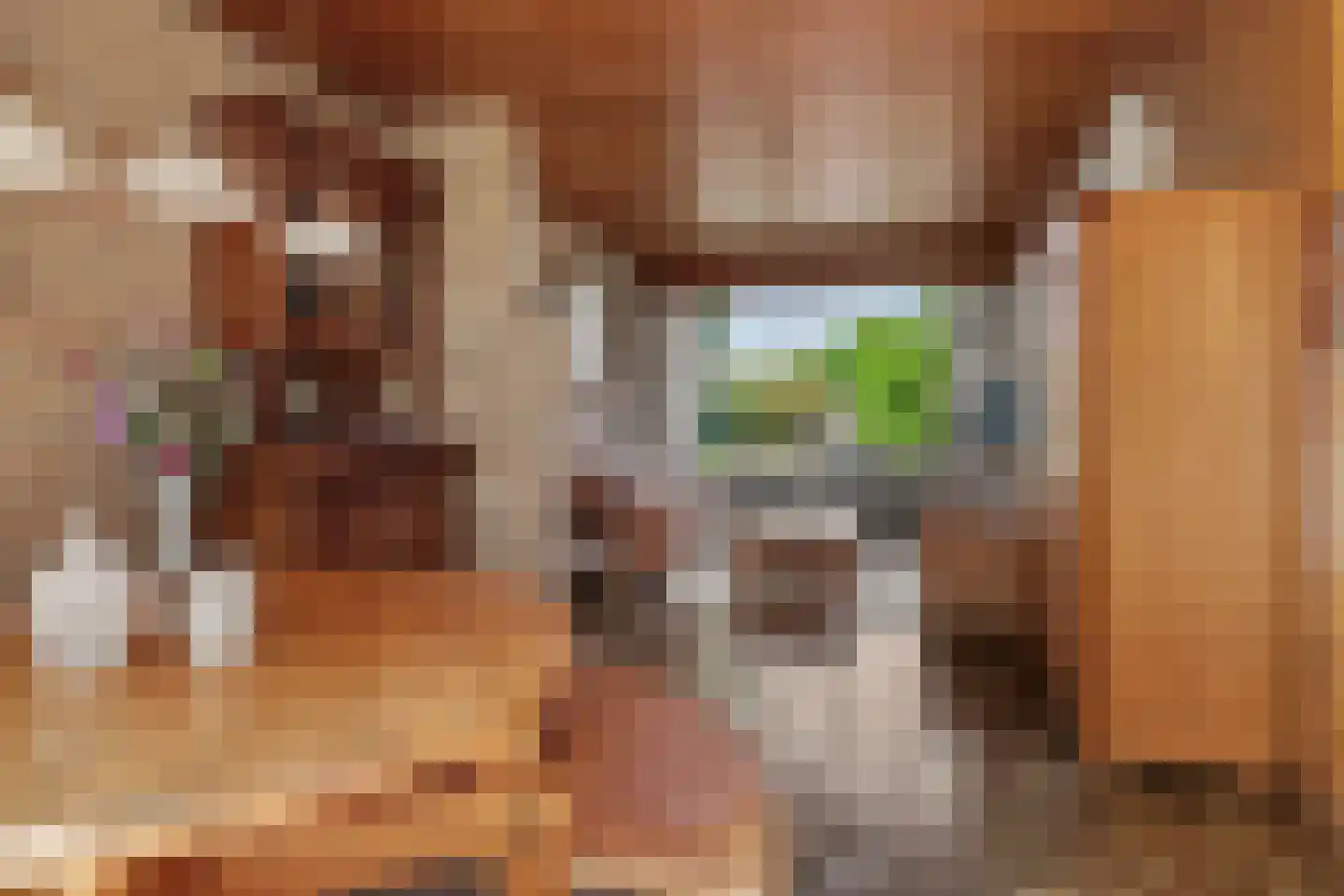 Moriaansdreef 112 Putte thumbnail 9