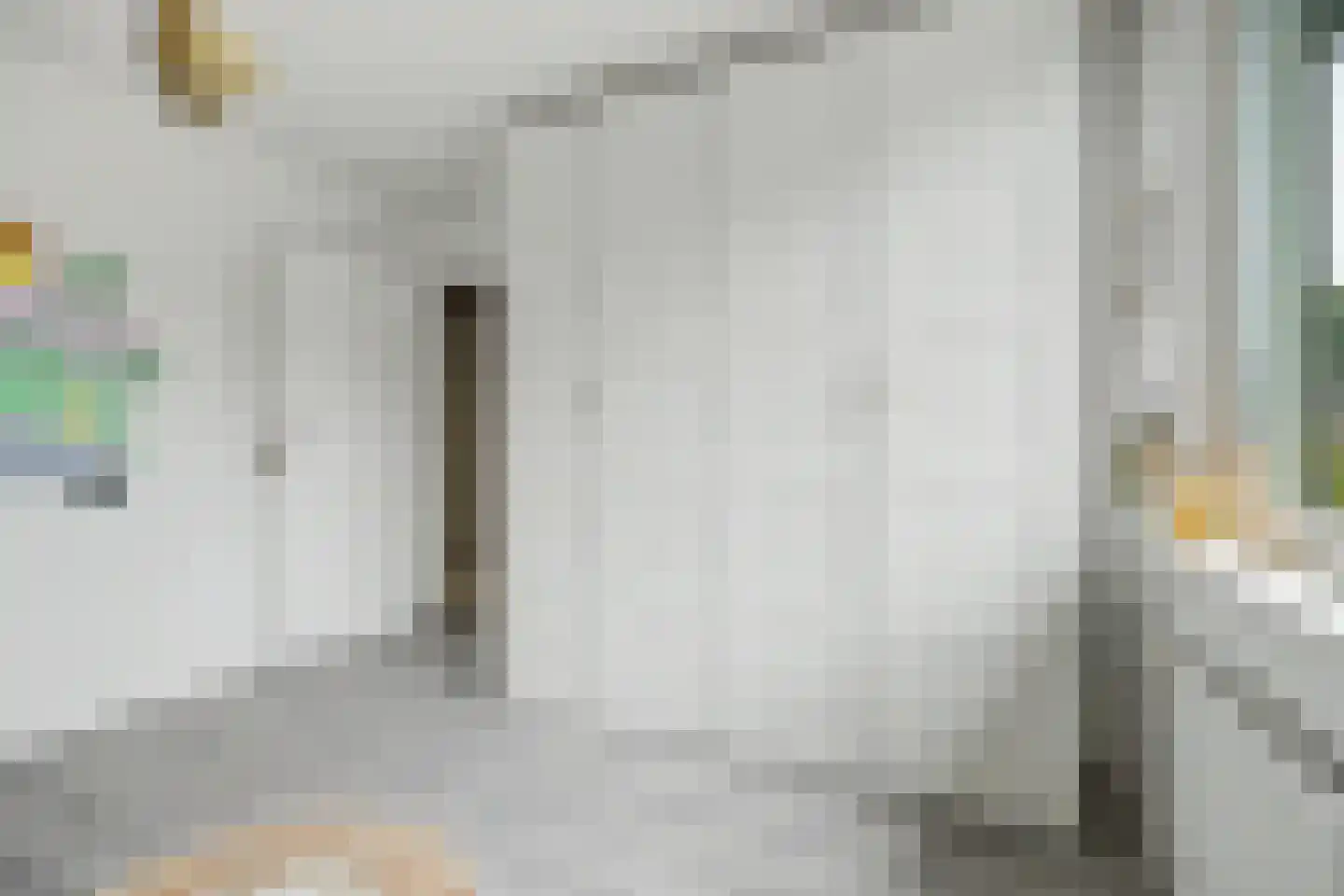 Moriaansdreef 114 Putte thumbnail 14