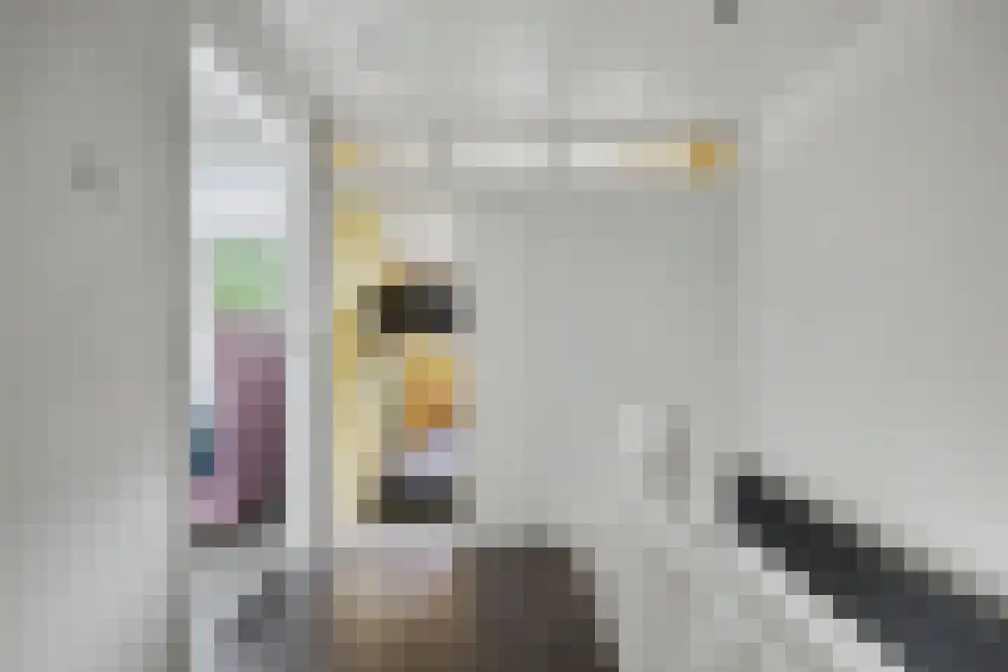 Moriaansdreef 114 Putte thumbnail 23