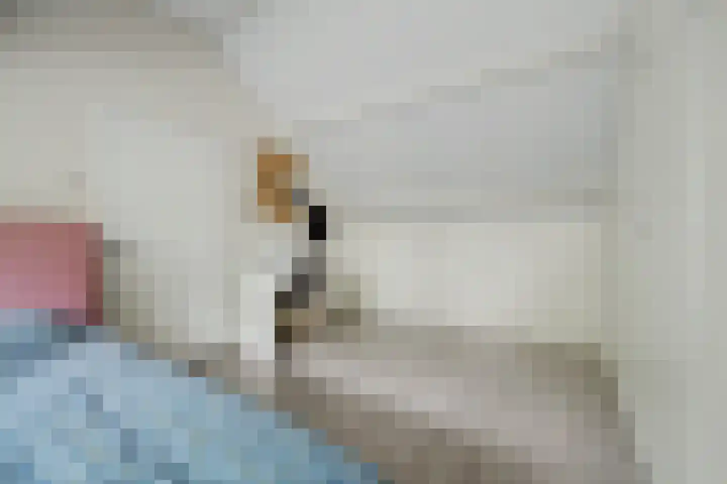 Moriaansdreef 114 Putte thumbnail 25