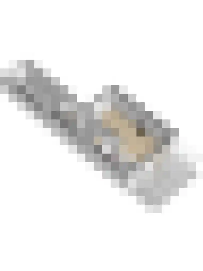 Moriaansdreef 114 Putte thumbnail 33