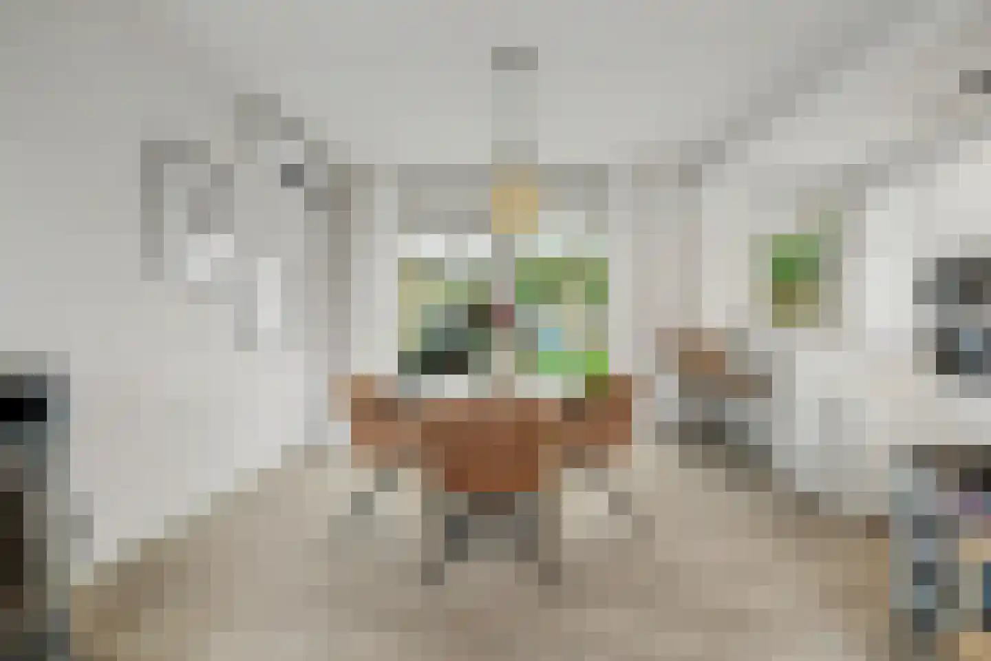 Moriaansdreef 114 Putte thumbnail 5