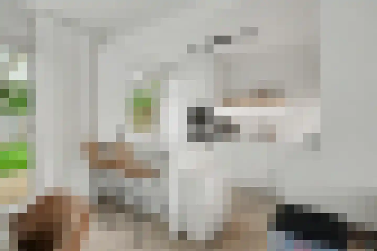 Moriaansdreef 114 Putte thumbnail 7
