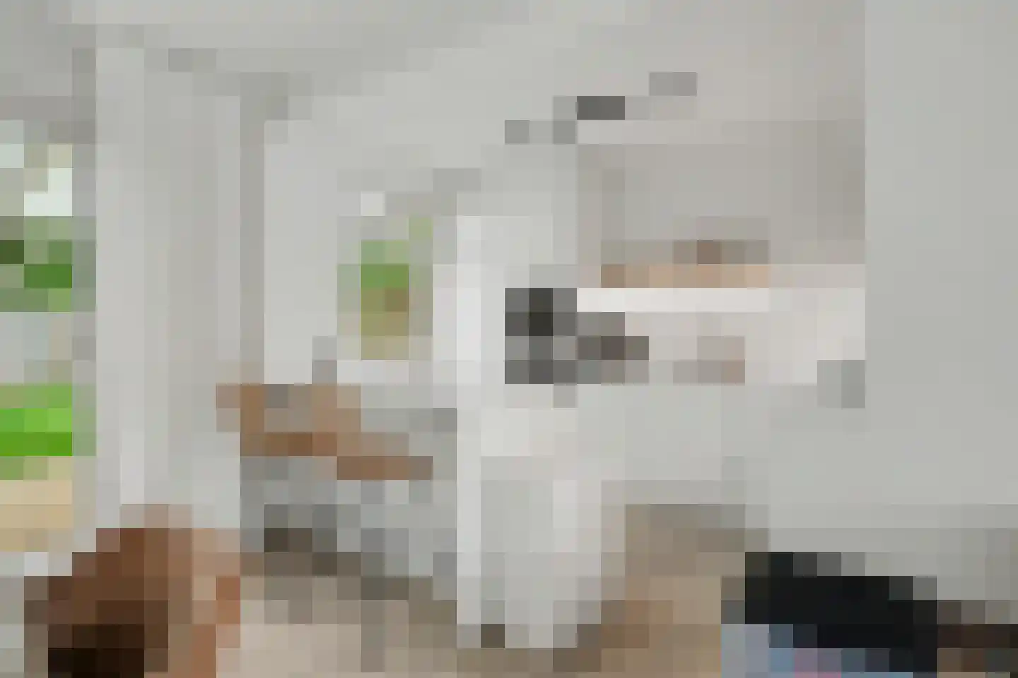 Moriaansdreef 114 Putte thumbnail 7