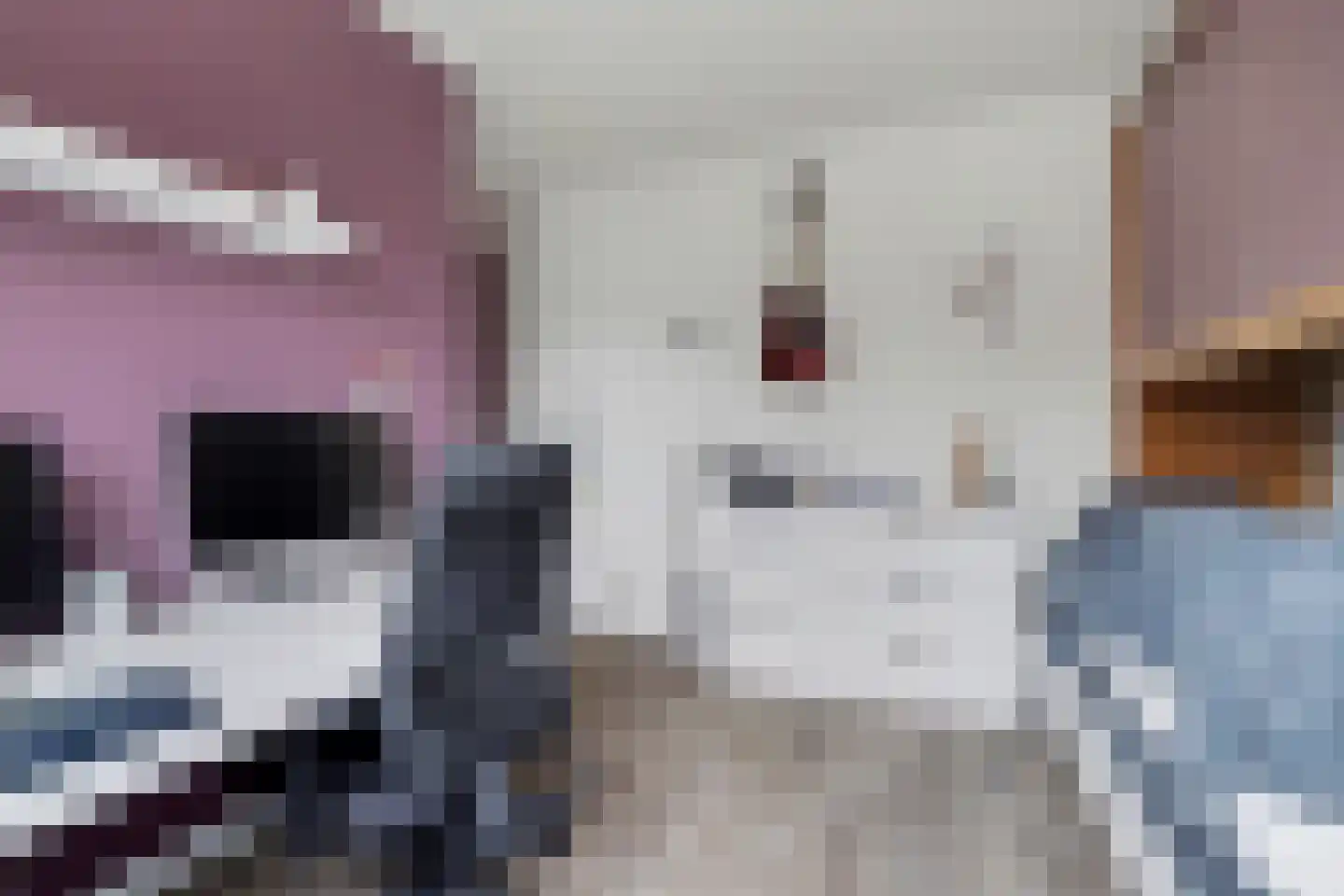 Moriaansdreef 116 Putte thumbnail 19