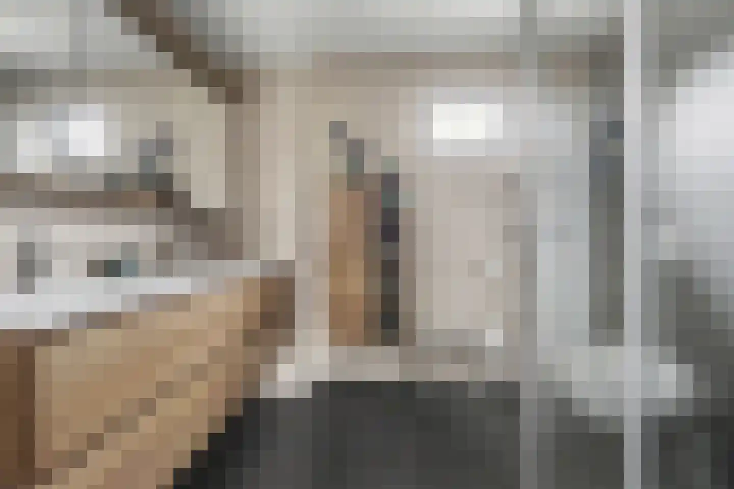Moriaansdreef 116 Putte thumbnail 21