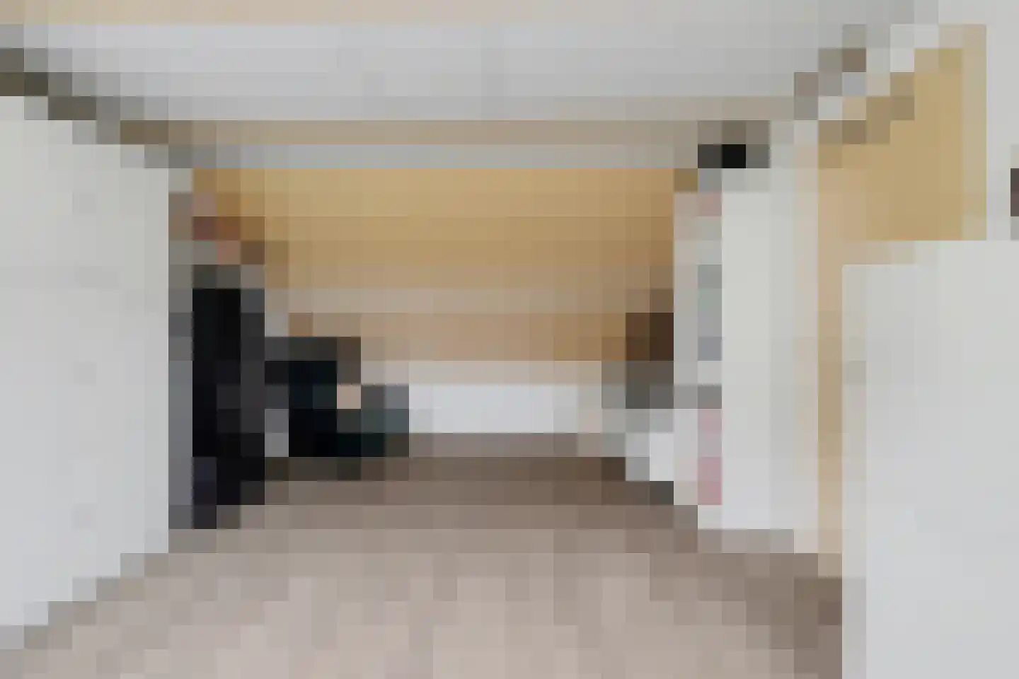 Moriaansdreef 116 Putte thumbnail 25
