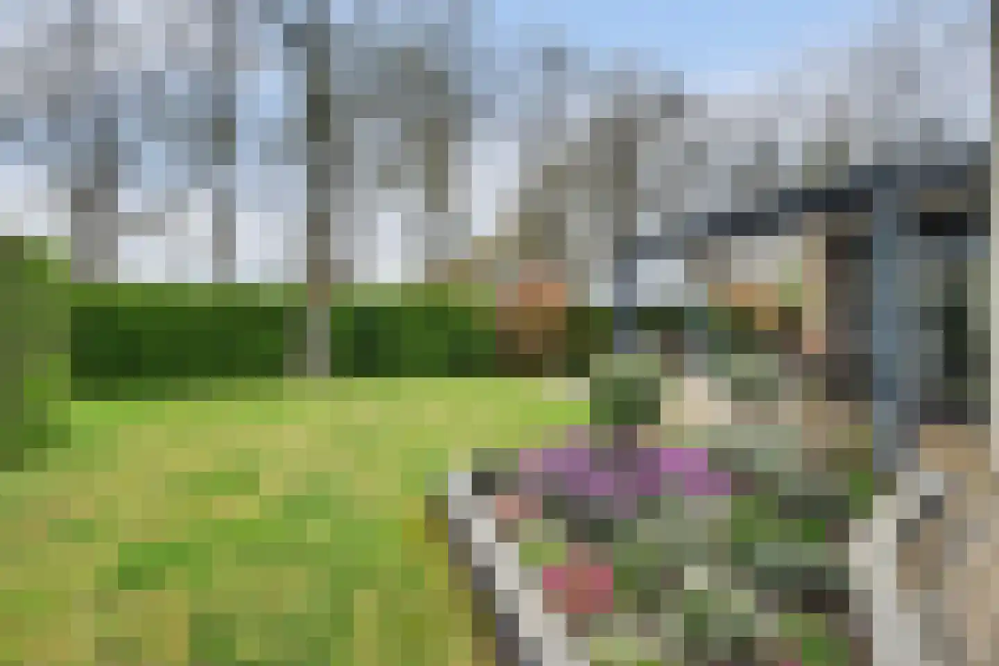 Moriaansdreef 116 Putte thumbnail 34